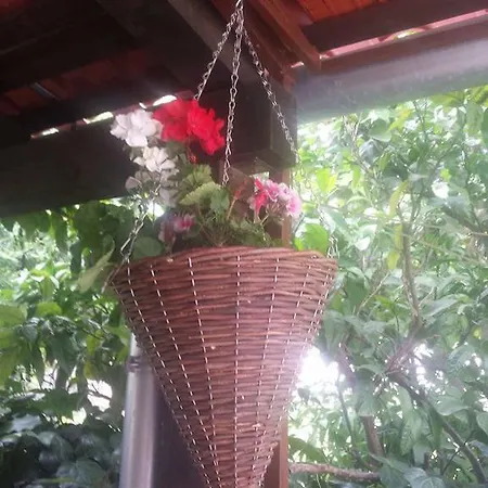 Angelo Center Of Lägenhet