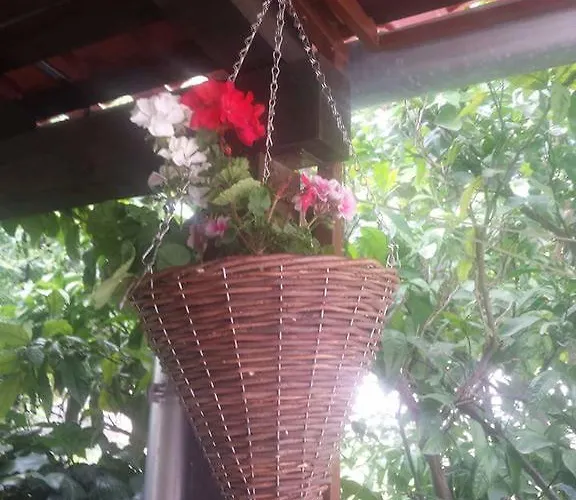 Angelo Center Of Apartament